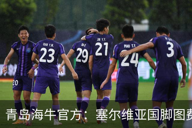 青岛海牛官方：塞尔维亚国脚图费格季奇加盟球队